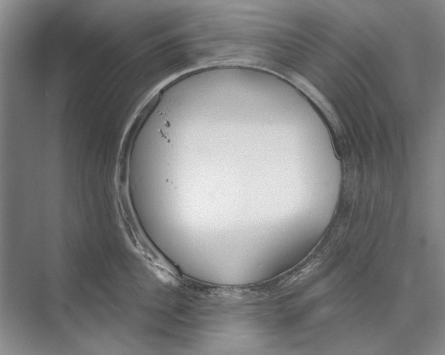 X0000074320956200609230023