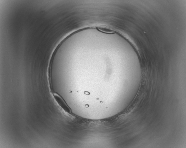 X0000074320959200609230023