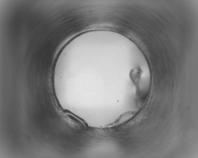 X0000074320960200609230023