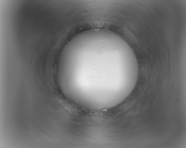 X0000074320961200609230022