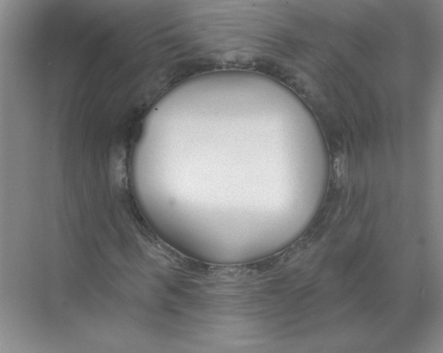 X0000074320963200609230022