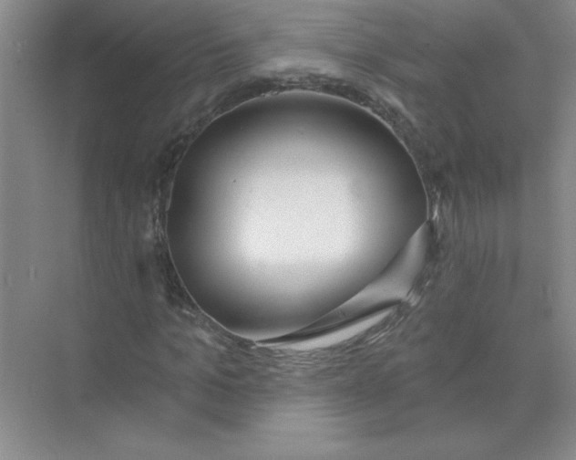 X0000074320965200609230022