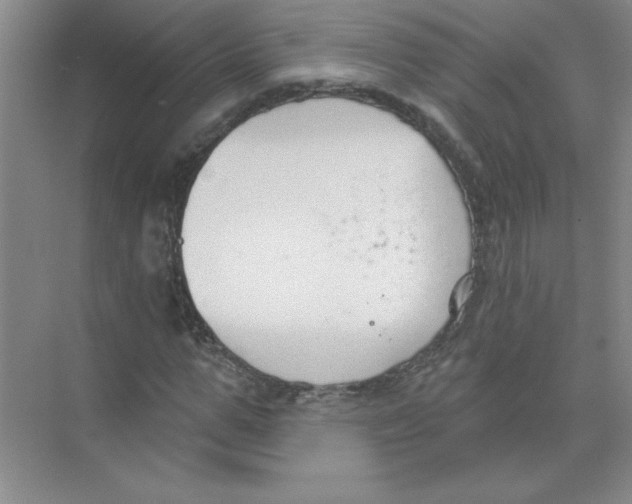 X0000074320967200609230022