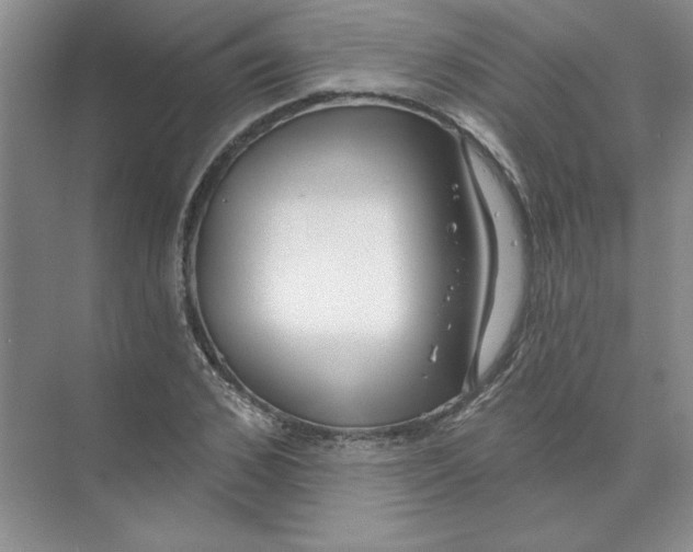 X0000074320976200609230022