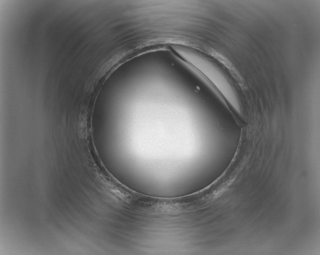 X0000074320977200609230022