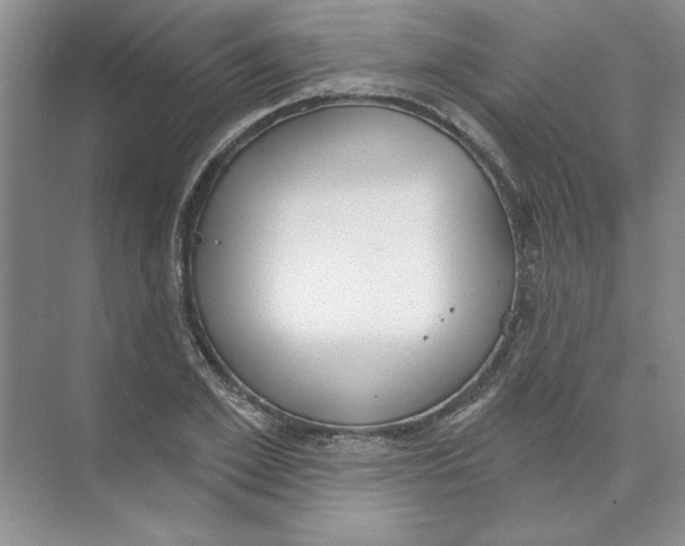 X0000074320981200609230022