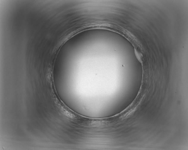 X0000074320985200609230022