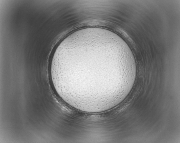 X0000074320986200609230022