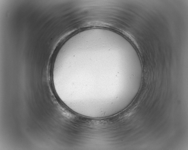 X0000074320987200609230022