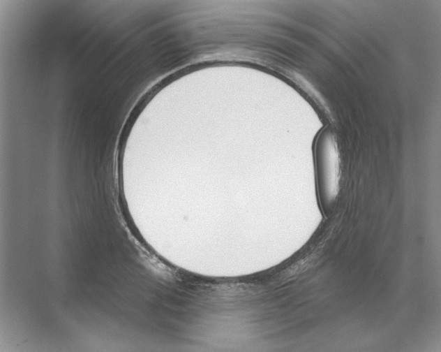 X0000074320988200609230022