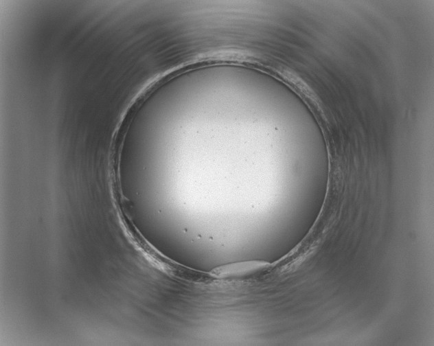 X0000074320989200609230022