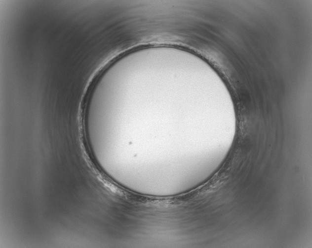 X0000074320990200609230022