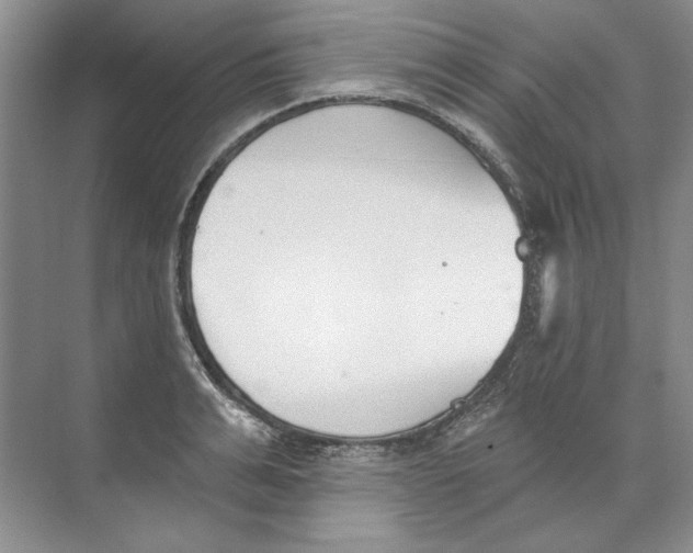 X0000074320991200609230022