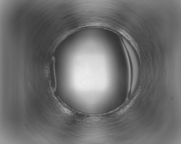 X0000074320993200609230022