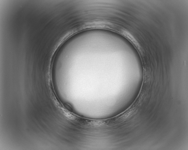 X0000074320994200609230022