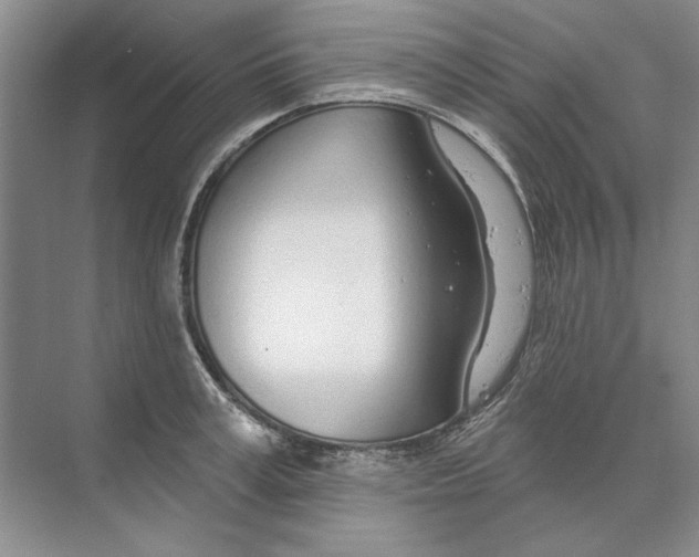 X0000074320995200609230022