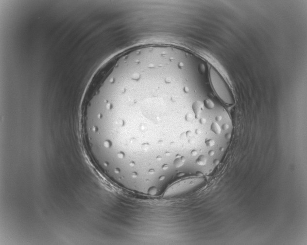 X0000074320996200609230022