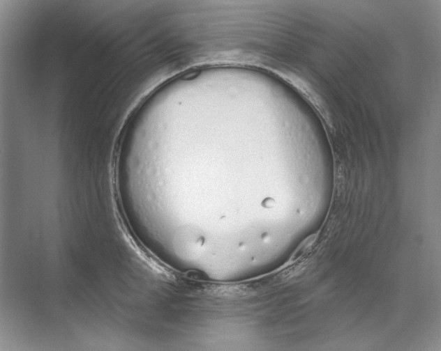 X0000074320998200609230022