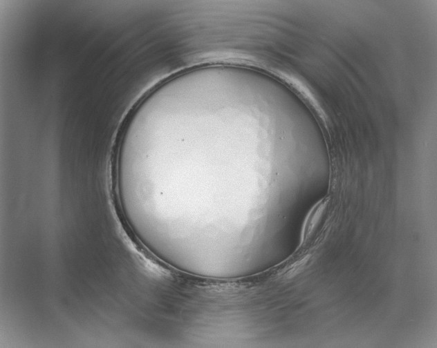 X0000074320999200609230022