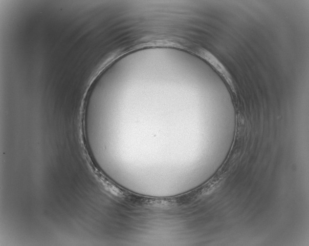 X0000074321002200609230022