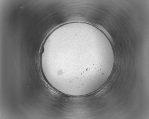 X0000074321004200609230022