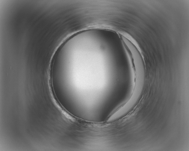 X0000074321005200609230022