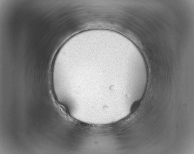 X0000074321008200609230021