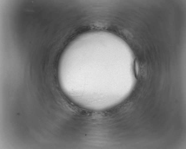 X0000074321009200609230021