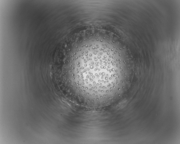 X0000074321010200609230021