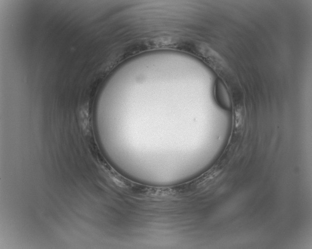 X0000074321011200609230021