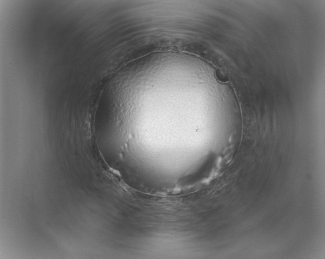 X0000074321013200609230021