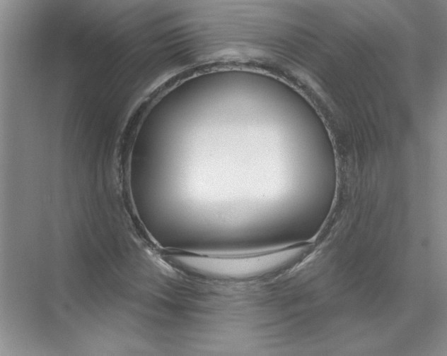 X0000074321018200609230021