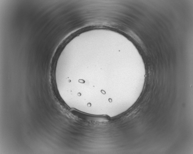 X0000074321020200609230021