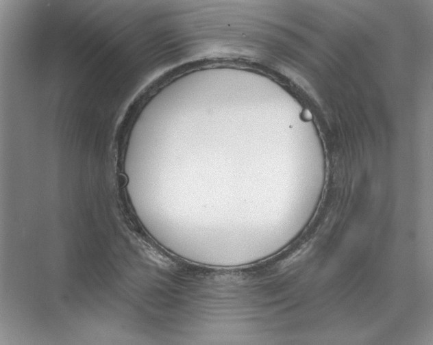 X0000074321021200609230021