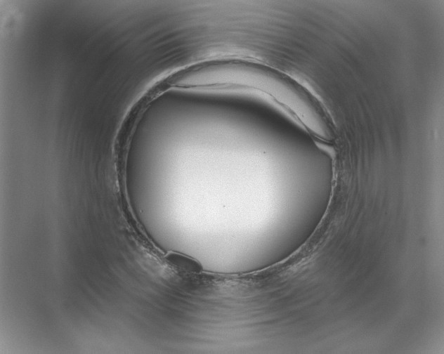 X0000074321022200609230021