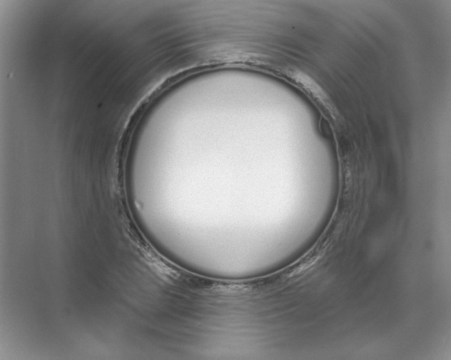 X0000074321023200609230021