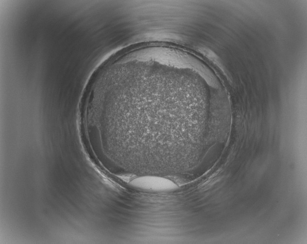 X0000074321024200609230021