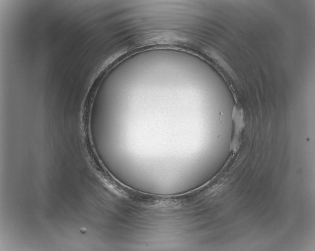 X0000074321026200609230021