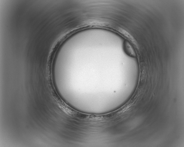 X0000074321027200609230021