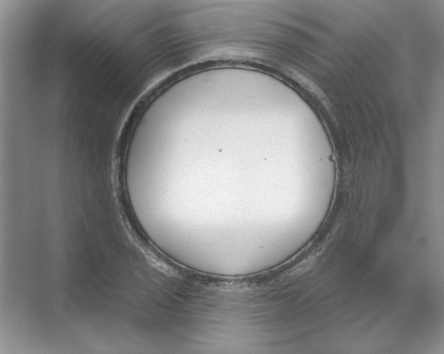 X0000074321029200609230021