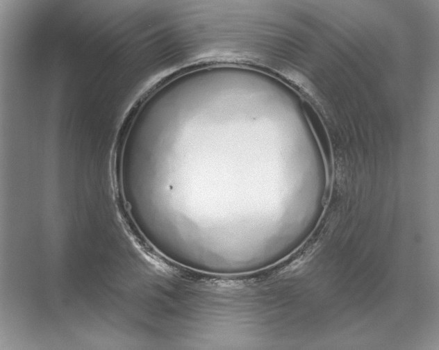 X0000074321030200609230021