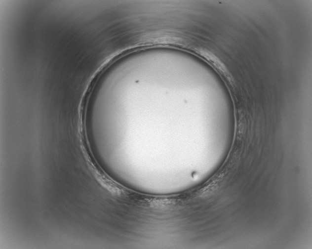 X0000074321031200609230021