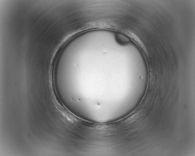 X0000074321035200609230021