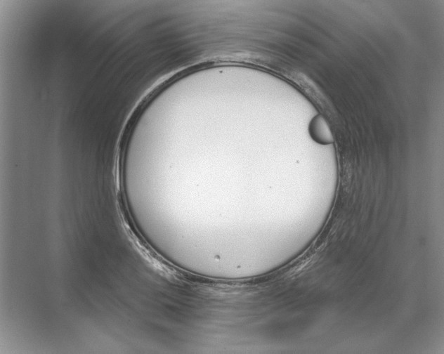 X0000074321036200609230021