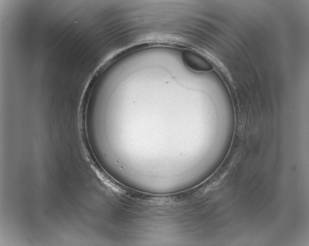 X0000074321037200609230021