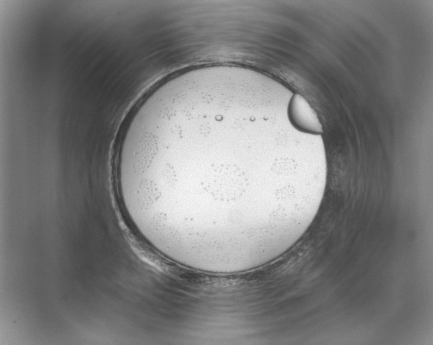 X0000074321039200609230021