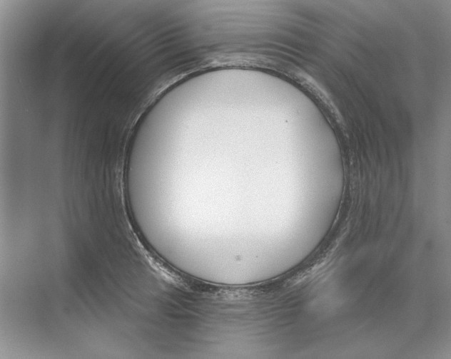 X0000074321041200609230021