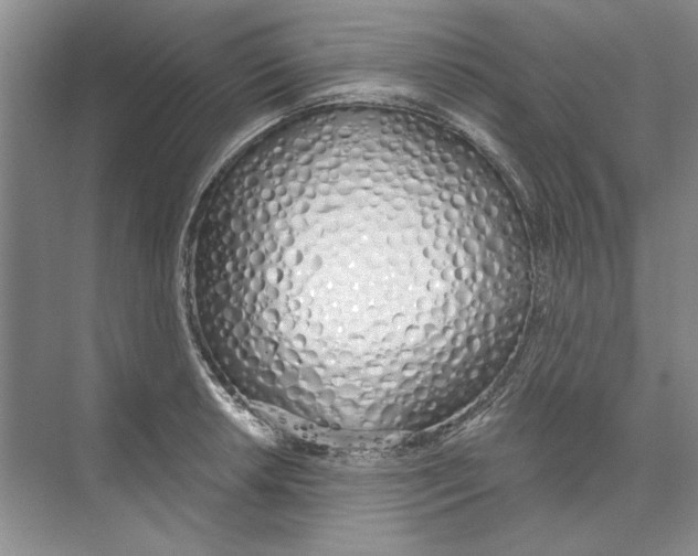 X0000074321042200609230021