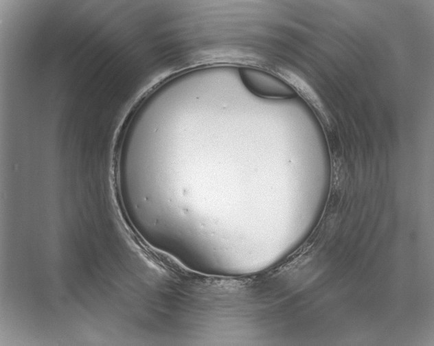 X0000074321043200609230021