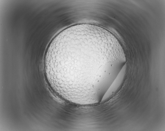 X0000074321044200609230021